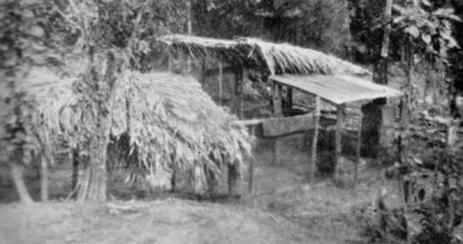 جان لوگی بَرد