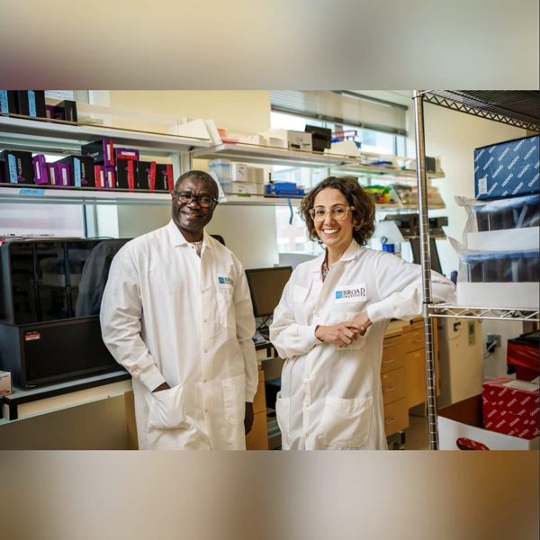 پردیس ثابتی